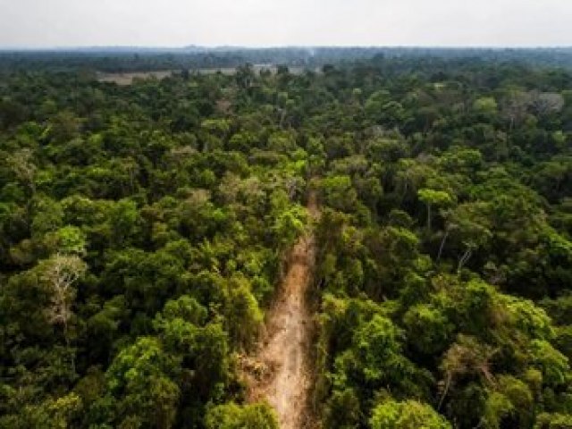 Tocantins segue com desafios ambientais na era da emergncia climtica