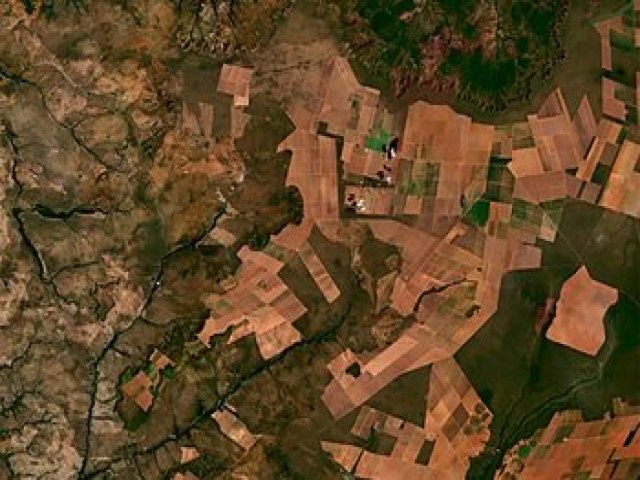 Tocantins tem aumento de 136% nos alertas de desmatamento em fevereiro
