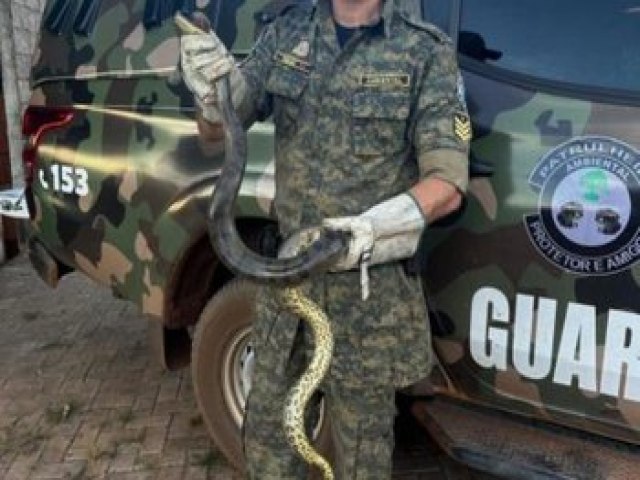 Guarda Ambiental recolhe cobra sucuri de dois metros em residncia na capital
