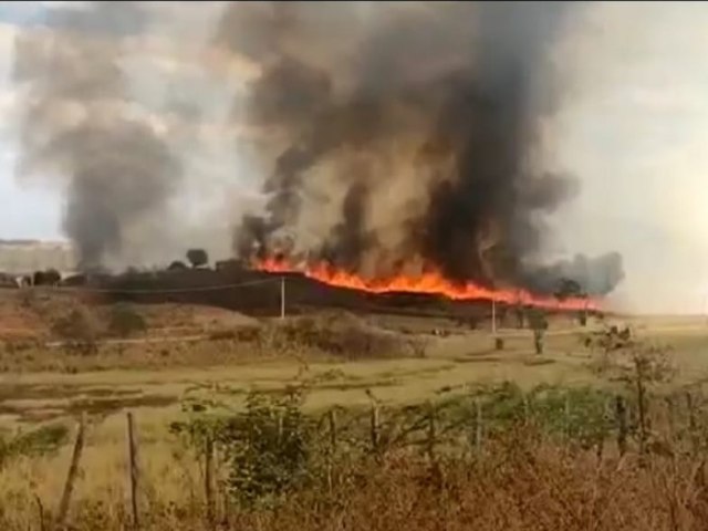 Vrzea Alegre Queimadas: Meio Ambiente pede que as pessoas denunciem