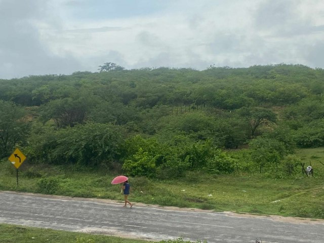 Fim de janeiro dever apresentar condies para chuvas isoladas em todas as macrorregies