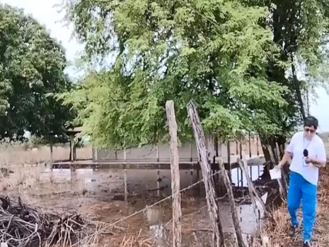 Primeiro dia do ano de 2024 tem chuva no Quixo dos Dinos e Cardoso acima de 150 milmetros