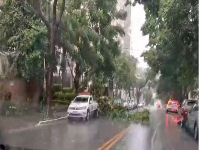 Chuva com granizo derruba rvores e causa alagamentos em So Paulo neste domingo