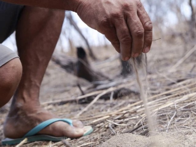 Desertificao na Caatinga pode reduzir funcionalidade do solo em mais de 50%, aponta pesquisa