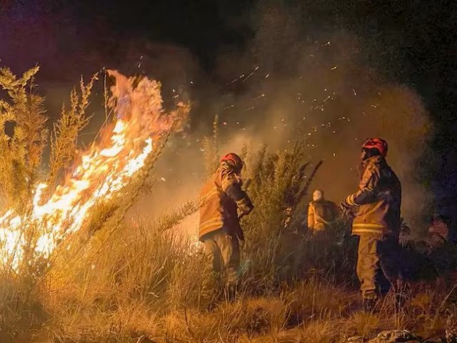 Novo comit nacional focar a criao de estratgias integradas contra incndios