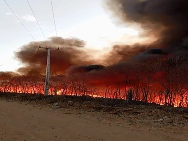 Mauriti : Incndio de grandes propores ameaa comunidade e meio ambiente no distrito de Palestina do Cariri