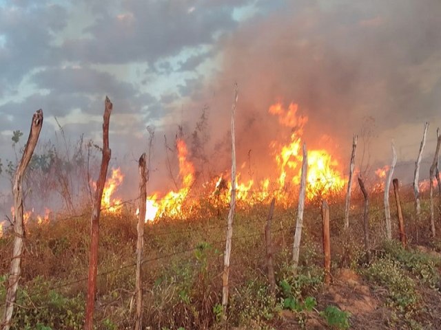 Defesa Civil Nacional alerta para o perodo de seca e incndios florestais no Brasil