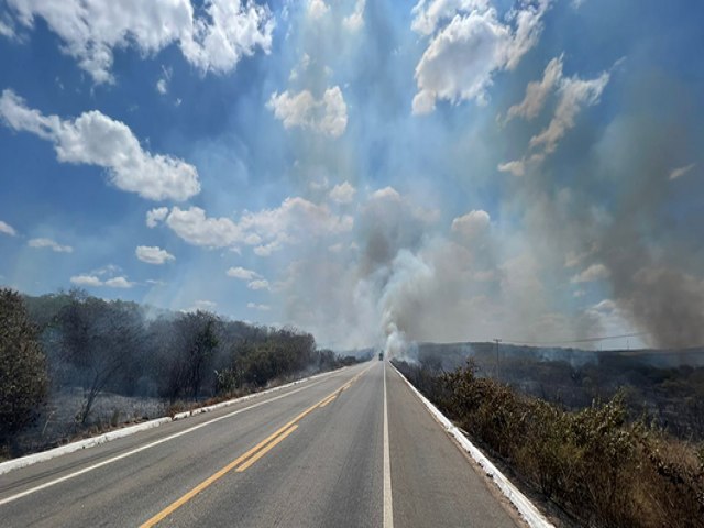 Fogo na BR 304: Bombeiros combatem incndio em Ass 