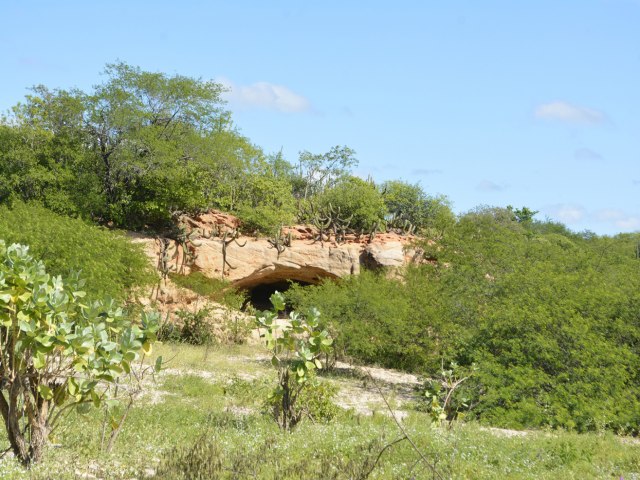 Projeto recupera cerca de 60 hectares da vegetao em torno da Lagoa do Piat 