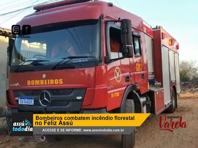 Bombeiros combatem incndio florestal no Feliz Ass 