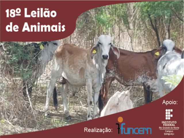 FUNCERN e DIGUAE organizam 18 leilo de animais para o dia 21 de dezembro no IFRN em Ipanguau 