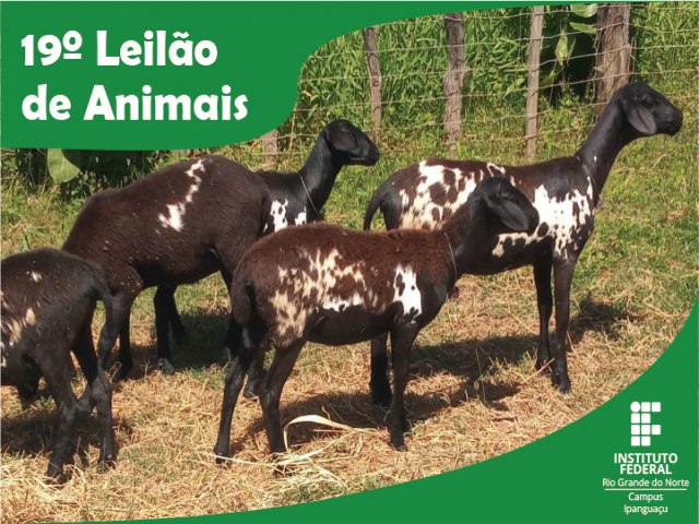 DIGUAE do IFRN em Ipanguau organiza 19 leilo de animais 