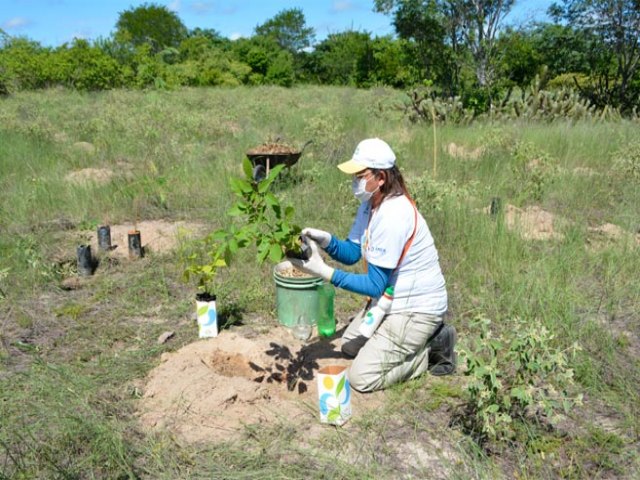 Vale Sustentvel contribui para mitigar mudana climtica em Ass e Guamar 