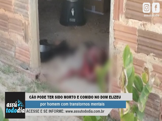 Homem com transtornos mentais pode ter matado e comido partes do corpo de um cachorro no bairro Dom Elizeu