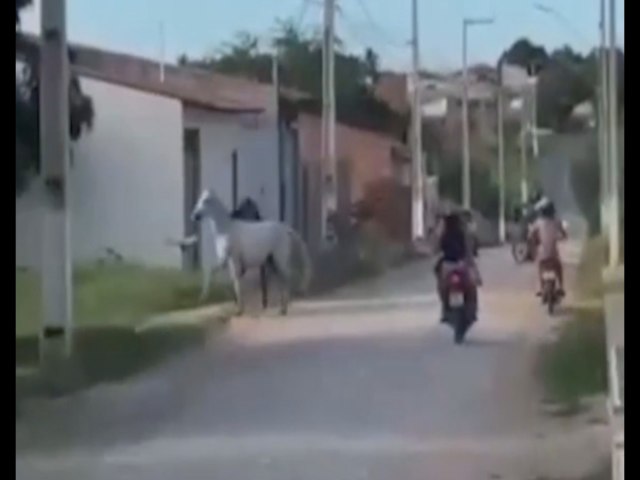 Cavalos derrubam moto e atropelam motociclista no Feliz Ass 