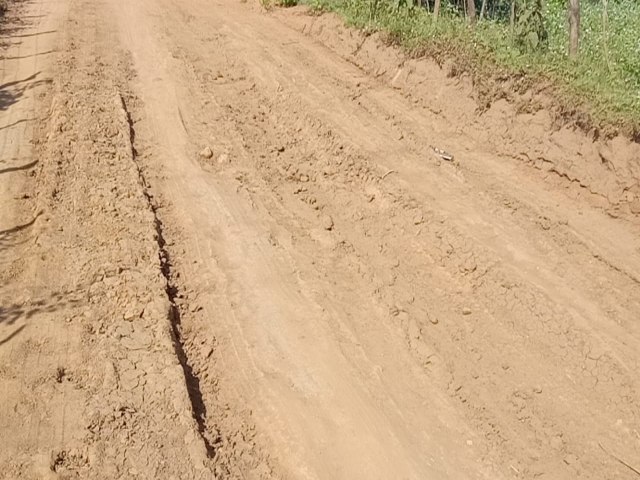 Devido as ms condies da estrada do Palheiros estudantes podero ficar sem o transporte escolar 