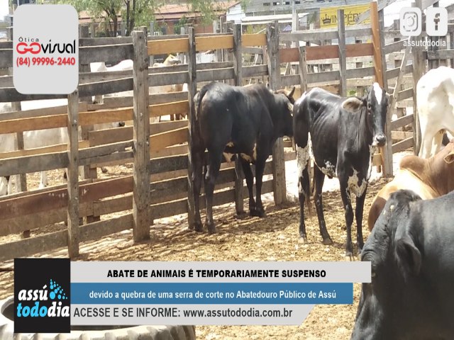 Abate de animais  temporariamente suspenso devido a quebra de uma serra de corte no Abatedouro Pblico de Ass 