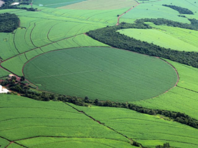 Em parceria com a ANA, MIDR lança mapeamento com dados atualizados sobre agricultura irrigada por pivôs centrais no Brasil