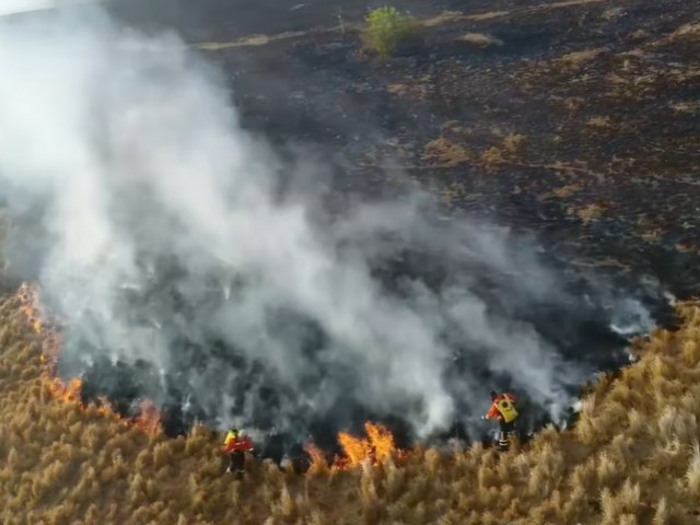 Corpo de Bombeiros do RN registrou 1.374 ocorrências de incêndios em vegetação no estado entre janeiro e outubro de 2023 
