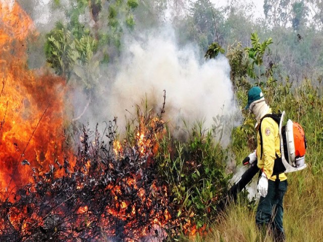 Incêndios florestais afetam qualidade do ar no Norte do país