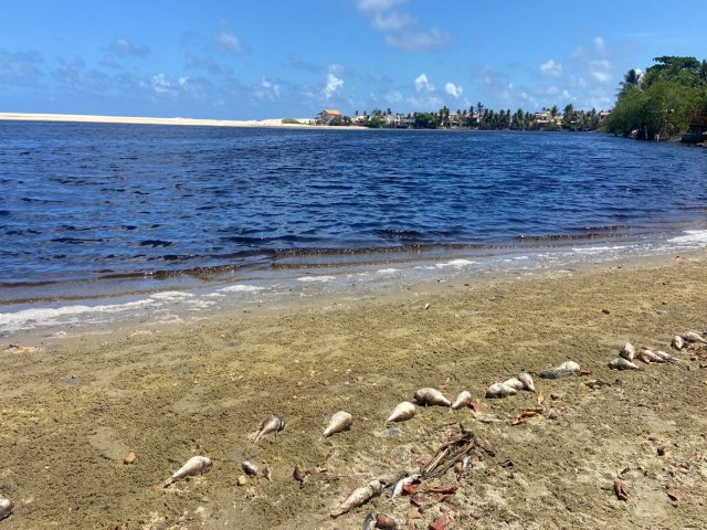 Mistrio: Peixes aparecem mortos e gua mais escura em Barra do Rio