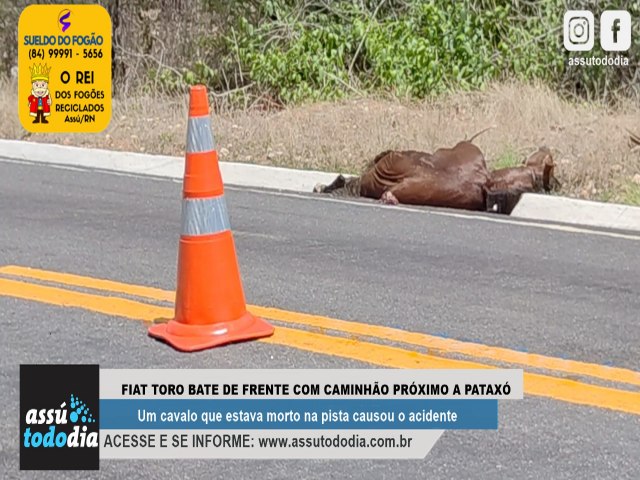 Cavalo morto sobre a pista causou acidente quase fatal prximo a Patax na BR 304 