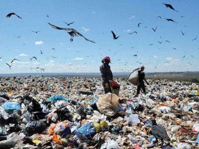 Brasil no vai cumprir a meta de extinguir lixes este ano, aponta relatrio
