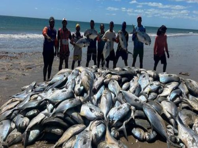 Pescadores capturam 7 toneladas de peixe no litoral do RN