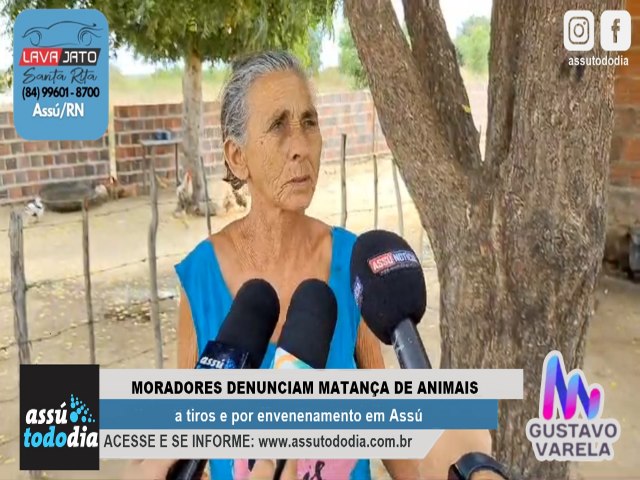 Moradores denunciam matana de animais domsticos a tiros e por envenenamento na zona rural de Ass