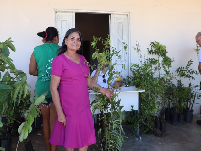 Agricultores recebem 300 mudas frutferas em assentamento da reforma agrria em Ass