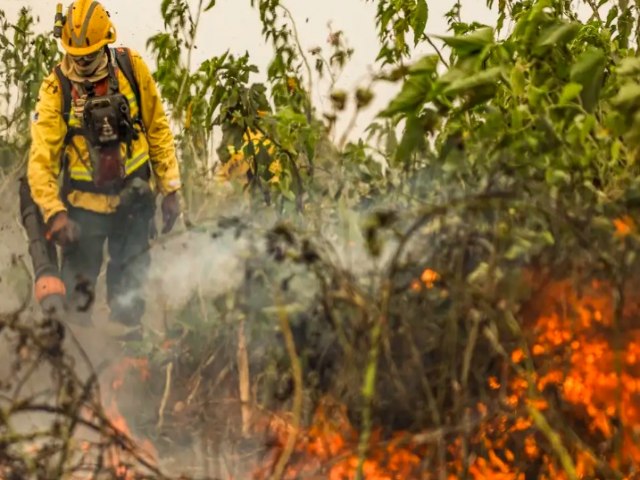 Brasil j registrou mais de 154 mil focos de calor este ano