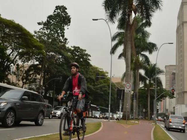 Ciclovias crescem 4% em um ano no pas, mas ainda faltam polticas que incentivem modal