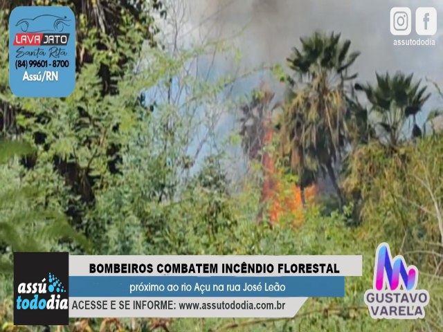 Bombeiros combatem incndio florestal prximo ao rio Au na rua Jos Leo