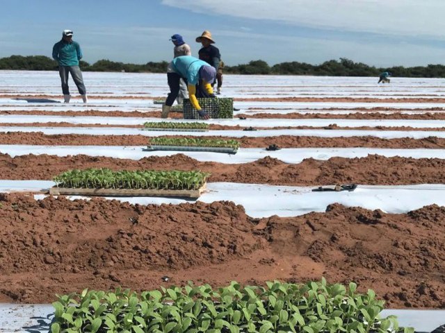 Neoenergia Cosern convoca clientes irrigantes e aquicultores para atualizao cadastral