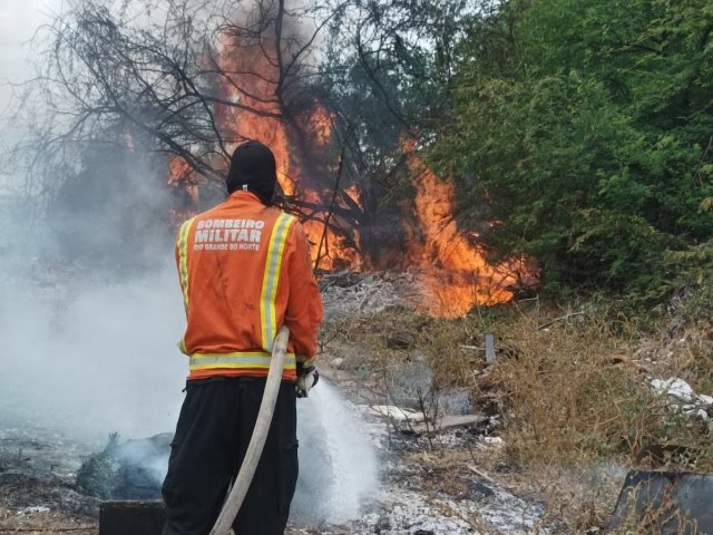 Bombeiros atendem nove ocorr�ncias de inc�ndio em vegeta��o em apenas tr�s dias no interior do RN