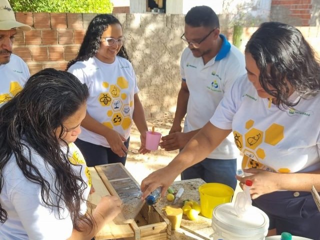 Projeto Vale Sustent�vel: Agricultores familiares vivenciaram manejo sustent�vel de abelhas sem ferr�o em Novo Pingos