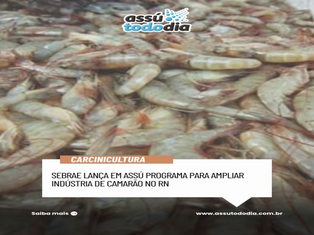 Sebrae lança em Assú programa para ampliar indústria de camarão no RN Sebrae lança em Assú programa para ampliar indústria de camarão no RN