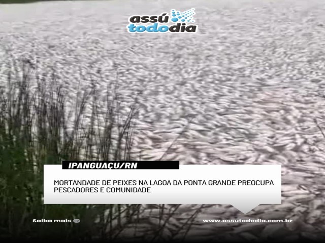 Mortandade de peixes preocupa moradores na Lagoa da Ponta Grande, em Ipangua�u