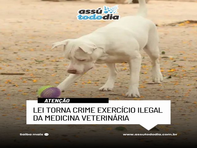 Lei torna crime exerc�cio ilegal da medicina veterin�ria 