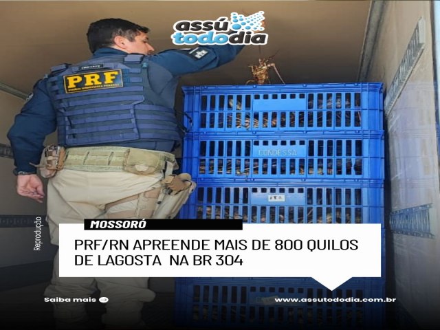 Mais de 800 quilos de lagosta foram apreendidos pela PRF na BR 394