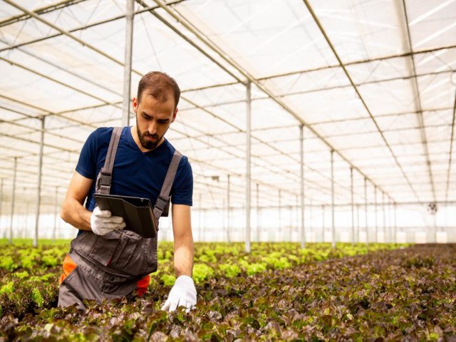 Crescimento das protenas alternativas