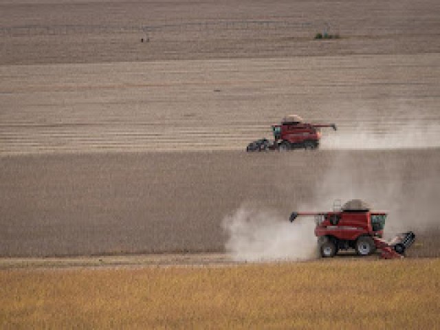 GOIS  O MAIOR GERADOR DE EMPREGOS NO AGRONEGCIO DO CENTRO-OESTE