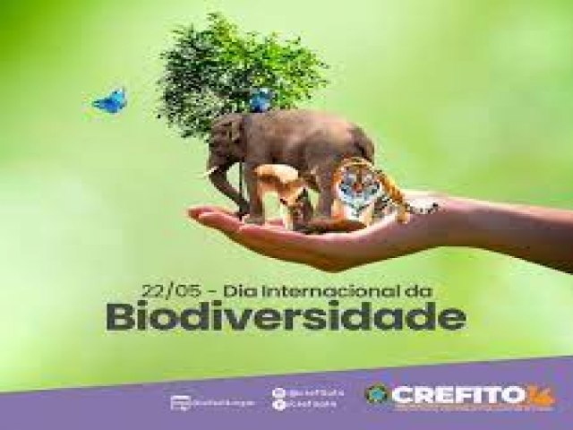 Voc sabe o que  Biodiversidade?