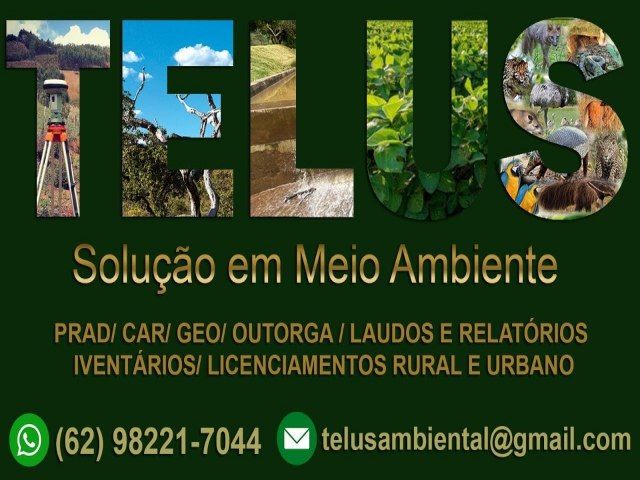 Apresentando Telus: Sua Parceira em Consultoria Ambiental