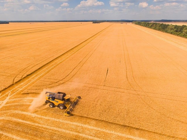 Um ano de conflito: como a Guerra na Ucrnia afetou a agricultura brasileira