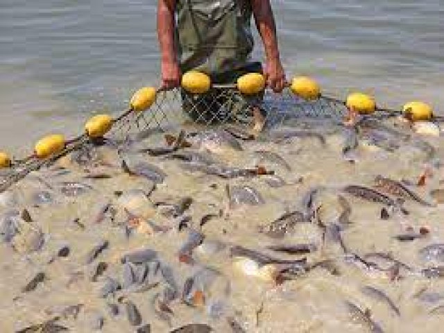 Em parceria com FAO, UFRN e UNB, Ministrio da Pesca e Aquicultura quer espalhar conhecimento sobre a atividade para abrir espao para os produtores