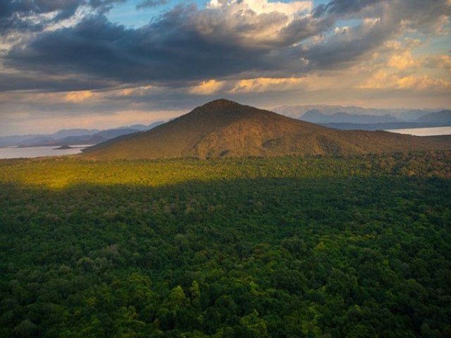 O pas que conseguiu plantar 350 milhes de rvores em 12 horas