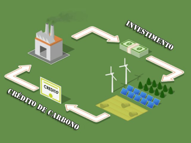 A evoluo do mercado de crditos de carbono