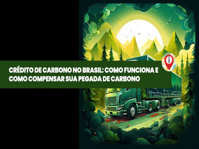 Blog Crdito De Carbono No Brasil: Como Funciona E Como Compensar Sua Pegada De Carbono