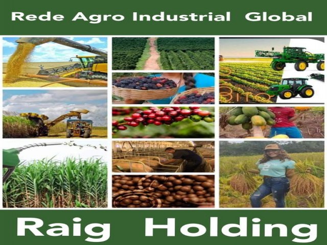  Rede Agro Industrial Global - Raig Holding